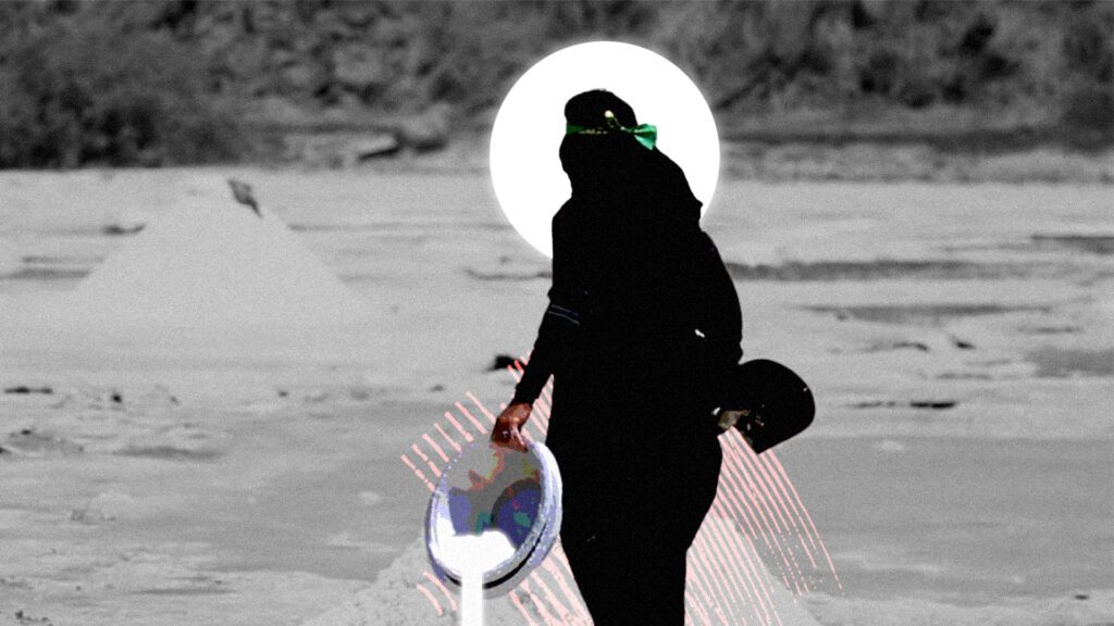 حلو وناعم وأبيض… جامعات الملح وحرب “السيد” المستثمر 